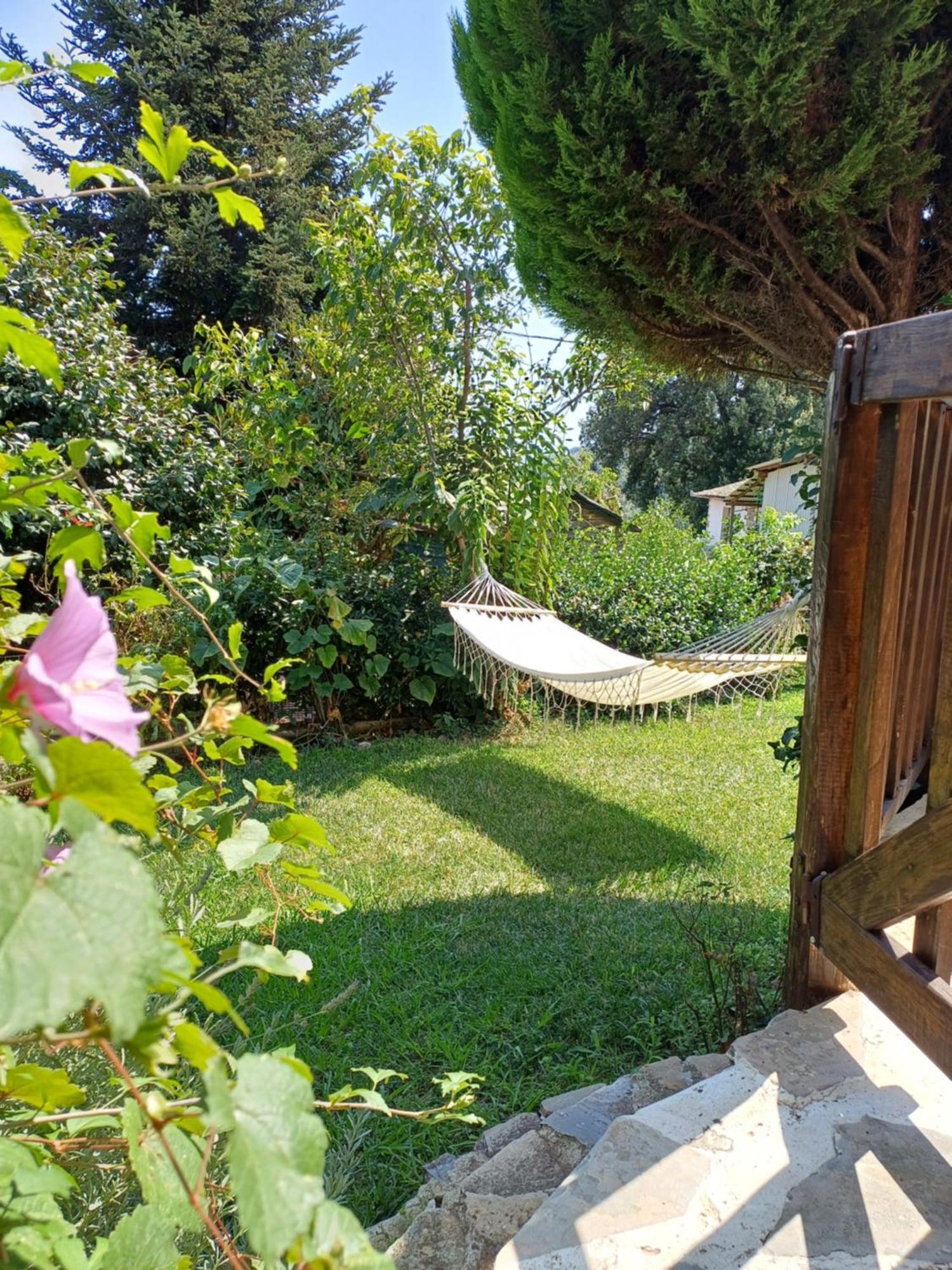 Efi'S Guest House Áyios Dhimítrios Eksteriør billede