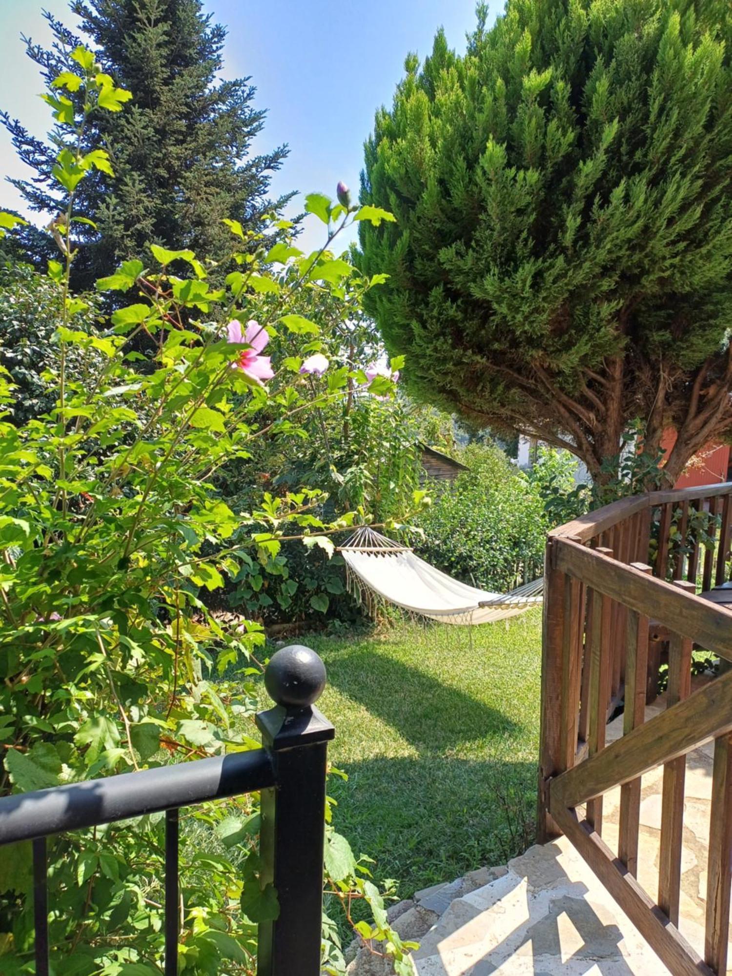 Efi'S Guest House Áyios Dhimítrios Eksteriør billede